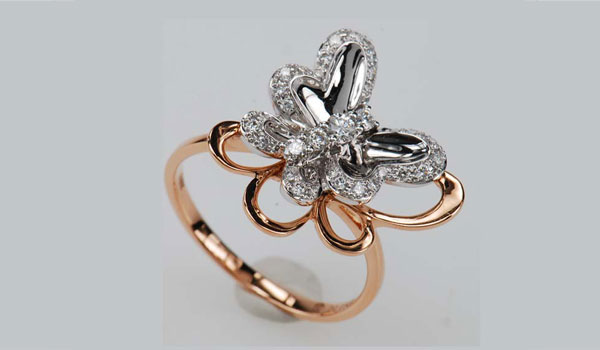 CNRBO-B-03-0001A-KB-DR