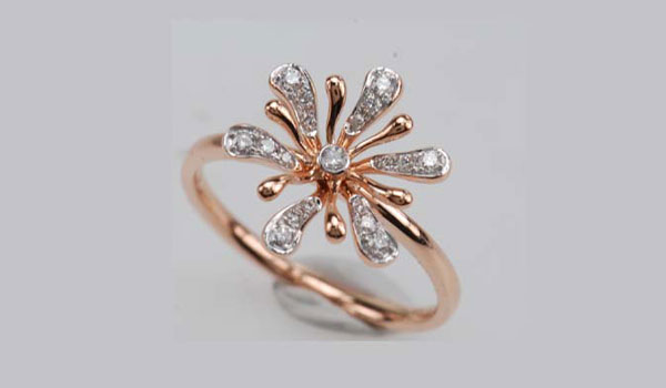 CNRDE-C-01-0091A-WA-DR